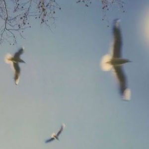 Meet your Posher, Cora